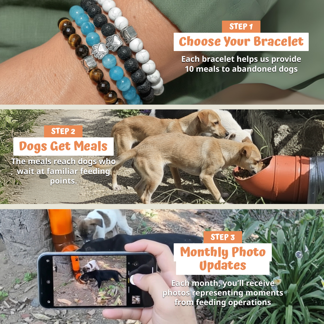https://cdn.shopify.com/s/files/1/0717/3531/2436/files/IMG_BraceletProduct_Steps.png?v=1769667342