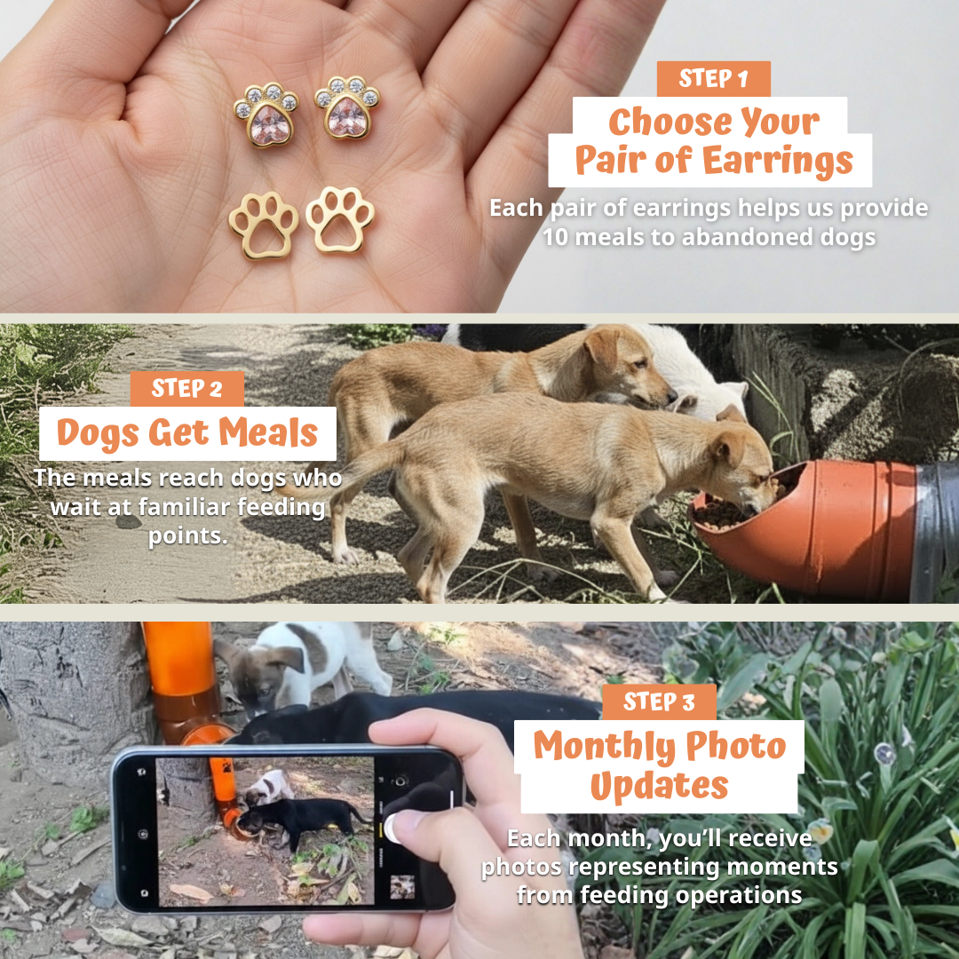 https://cdn.shopify.com/s/files/1/0717/3531/2436/files/IMG_EarringsProduct_Steps.png?v=1769232148