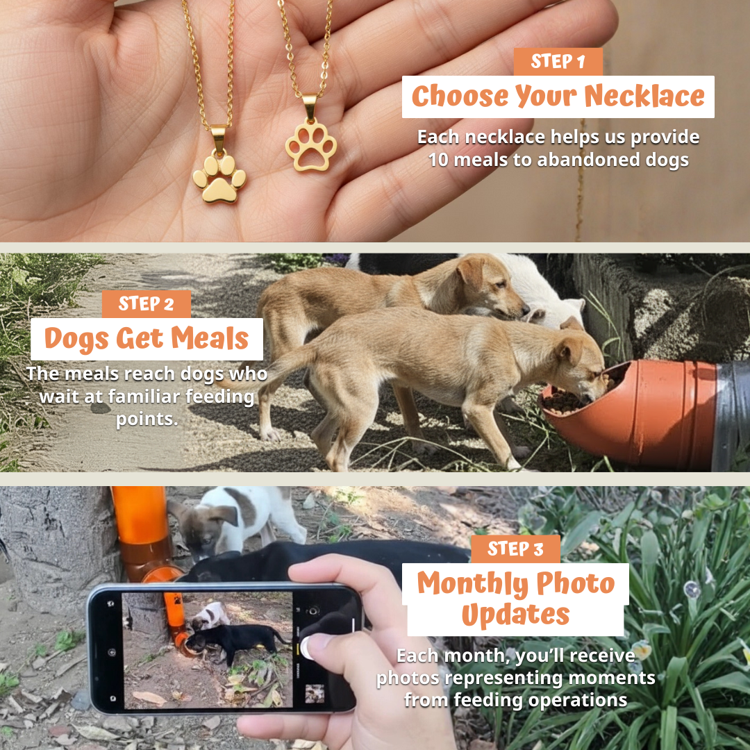 https://cdn.shopify.com/s/files/1/0717/3531/2436/files/IMG_NecklaceProduct_Steps.png?v=1770545599