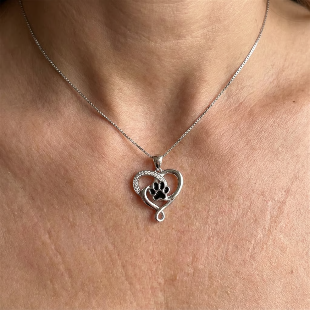 https://cdn.shopify.com/s/files/1/0717/3531/2436/files/cdcsd.png?v=1769233183